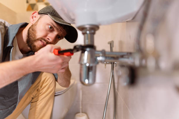 Best Clogged Drain Plumber  in New Union, TN